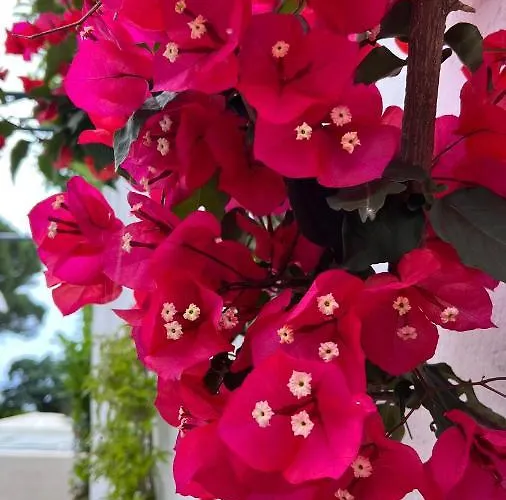 Victoria Place 호텔 3*