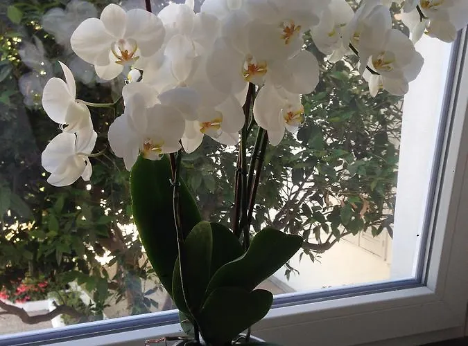 Victoria Place Hotel 3*