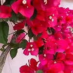 Victoria Place Hotel Anacapri (Isola di Capri)