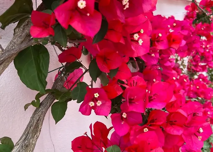 Victoria Place Hotel Anacapri (Isola di Capri)