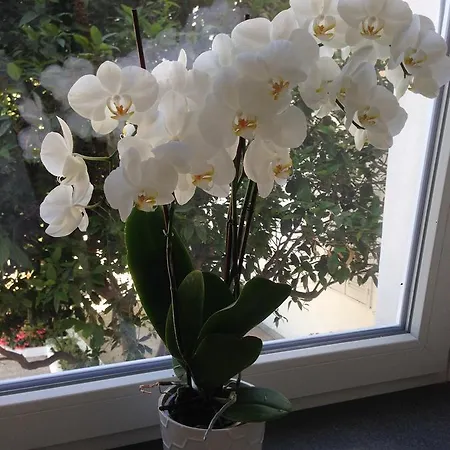 Victoria Place Hotel 3*